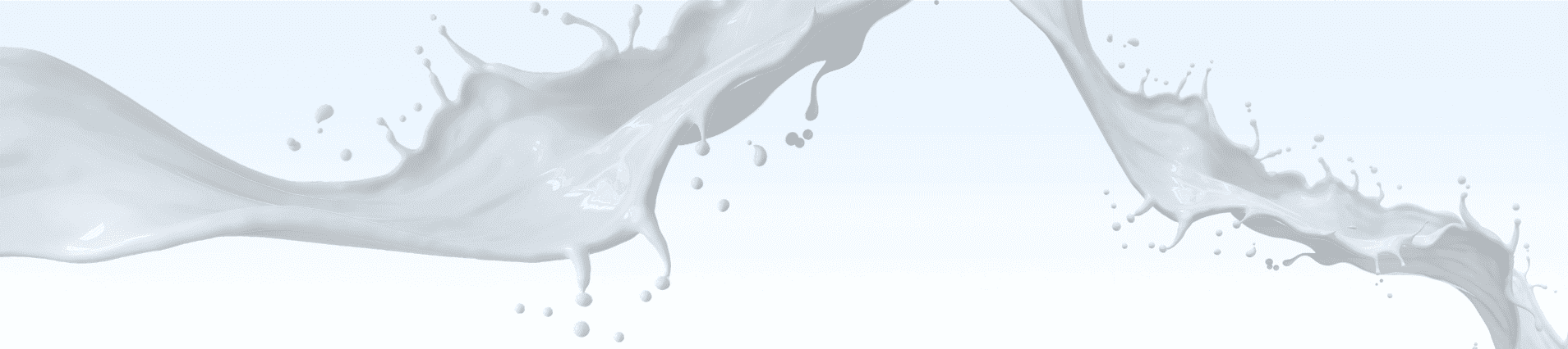 Ovino de Leche