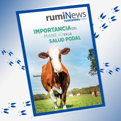 Importancia del manejo en la salud podal