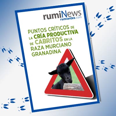 Puntos críticos de la cría productiva de cabritos en la raza murciano granadina