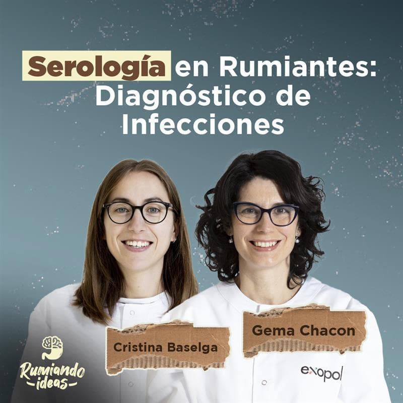Fundamentos y utilidad de la serología en el diagnóstico de enfermedades infecciosas en rumiantes con Gema Chacón y Cristina Baselga