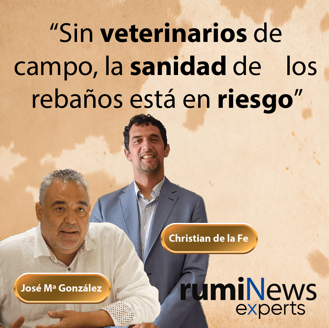 RumiNews Experts- Desafíos y futuro del ovino: sanidad, mercados y relevo generacional