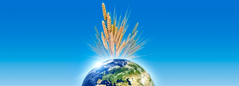 The situation of the raw materials market in May