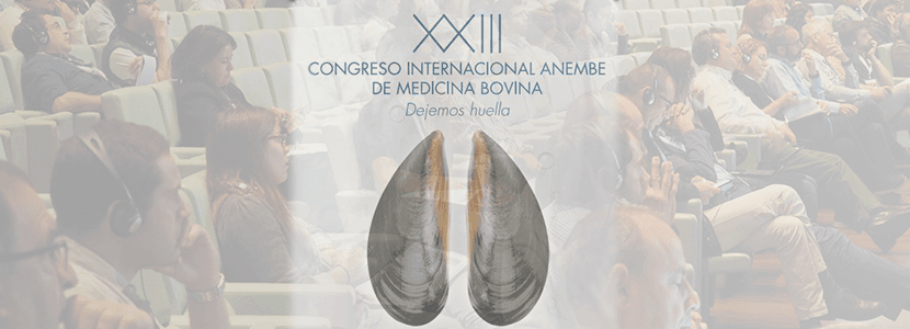 Successful Attendance at the XXIII Anembe International Congress