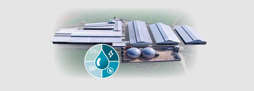 Biogás para la autogeneración energética en granjas lecheras