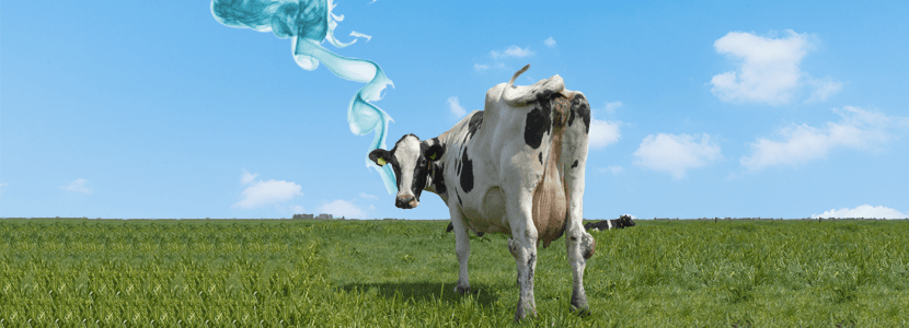 ¿Reducir la producción de metano? - Genética y microbiota ruminal
