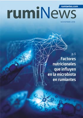 Revista rumiNews Noviembre 2019