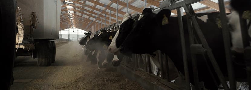 Cierre de explotaciones lácteas en España durante 2019