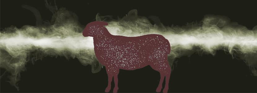 Presentación de carne de ovino de larga maduración