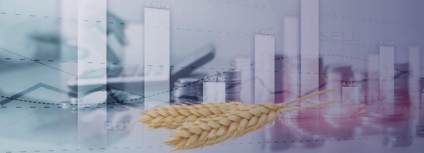 ¿Qué nos depara el mercado de materias primas en junio?