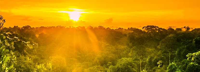 Impulso para la ganadería y la agricultura en el Amazonas