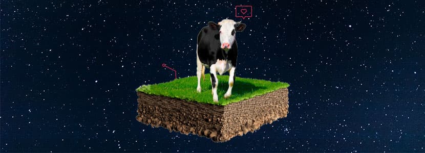 El bienestar del suelo agrícola en explotaciones de vacuno lechero