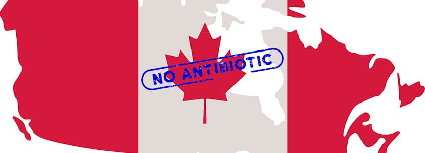 Valoración de las nuevas normas para los antibióticos en Canadá