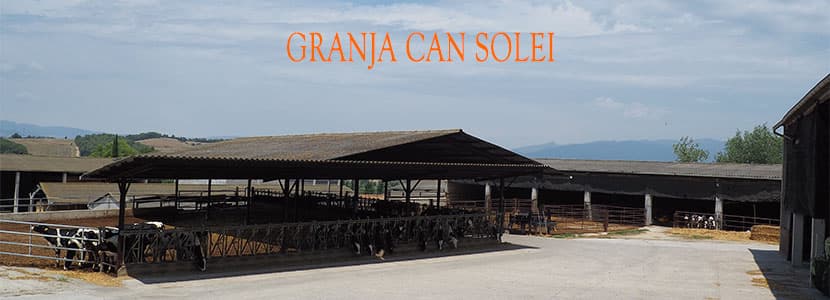 Ganadería Can Solei: Tradición, Bienestar Animal y Calidad de leche