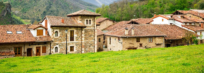 Ayudas al vacuno lechero y vacuno de cebo autóctono en Cantabria