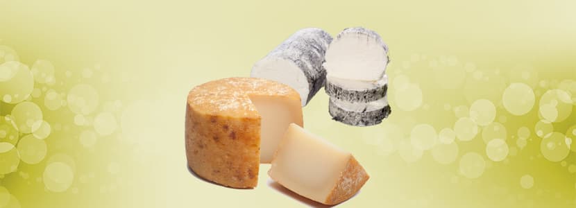 Consumo de queso puro de oveja y cabra en España