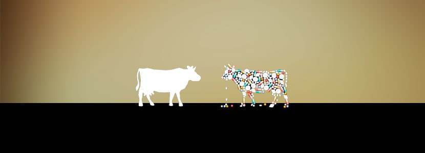 Valor del sector farmacéutico veterinario a nivel mundial