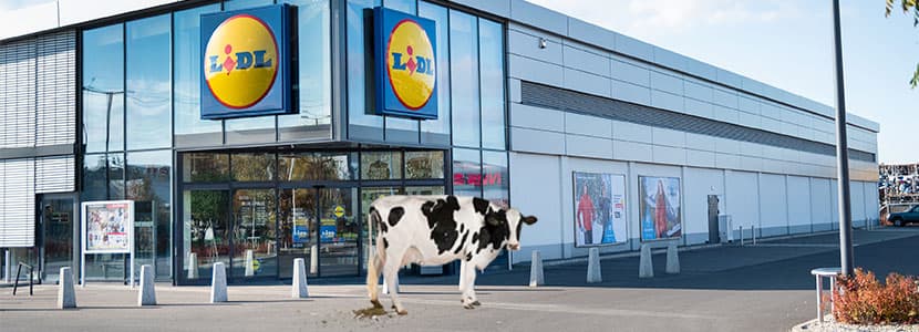 Denuncias a Lidl por anunciar yogures a 0,08 euros la unidad
