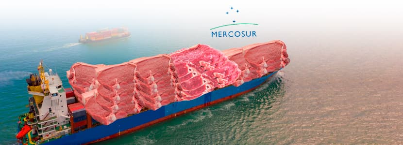 Exportaciones de carne de vacuno de MERCOSUR durante 2019