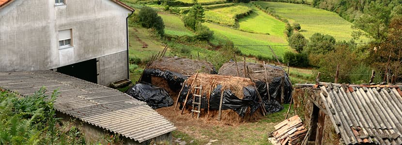 Ganaderos y agricultores gallegos pueden solicitar ayudas de la PAC