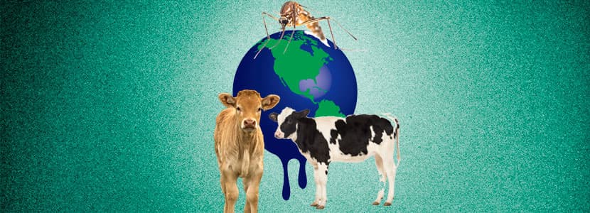 Proyecto VECTOCC, nuevas estrategias contra el cambio climático