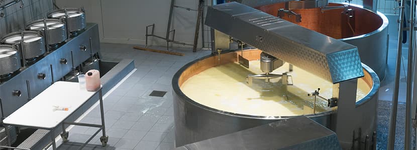 Producción de queso de oveja y cabra en la Unión Europea