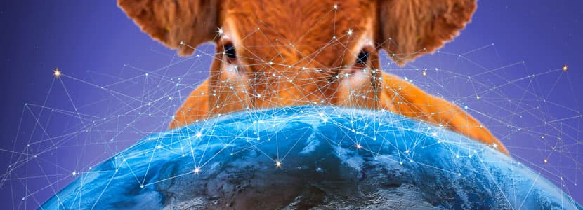Red BovINE: sostenibilidad para el vacuno de carne