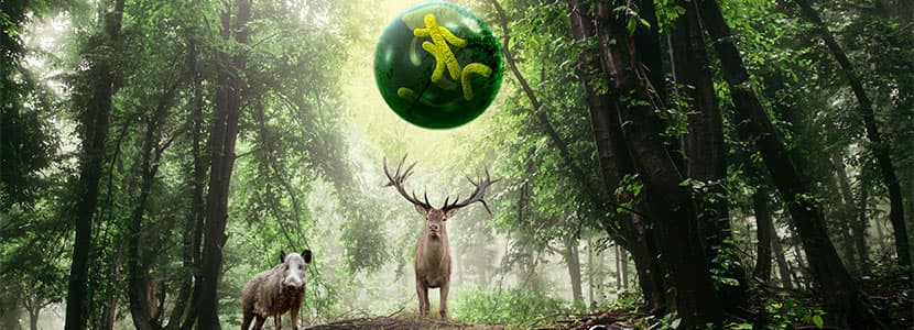 La tuberculosis y la fauna silvestre: Modelo de infección compartida