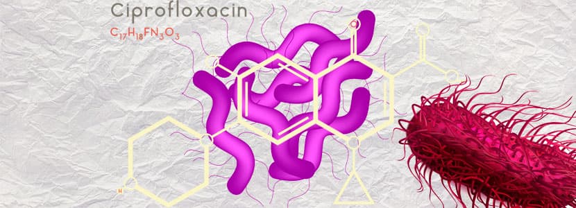 Resistencias al ciprofloxacino de Salmonella y Campylobacter