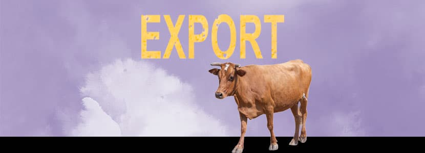 Exportaciones nacionales de carne de vacuno durante 2019