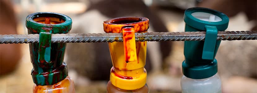 Tratamiento de la mastitis en el vacuno lechero en los países nórdicos
