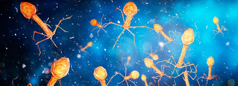 Bacteriófagos como terapia para la reducción del uso de antibióticos
