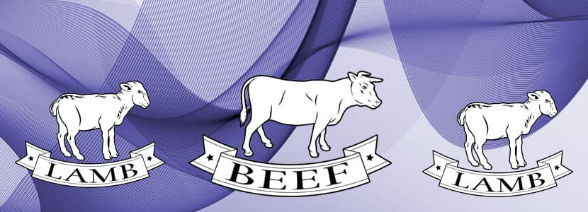 Nuevo reglamento en el etiquetado de los alimentos