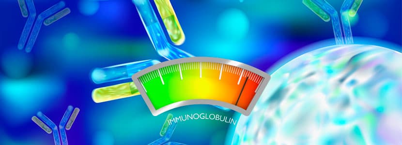 Inmunoglobulinas: ¿qué son y qué función tienen?