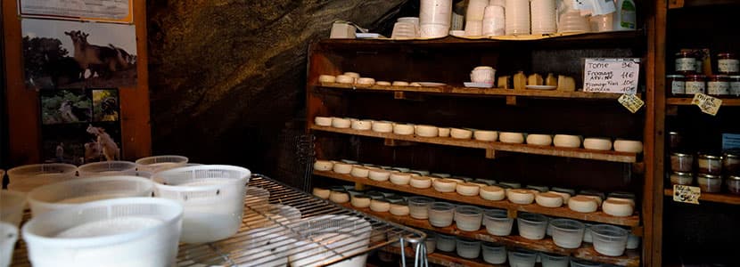 Francia solicita el almacenamiento de leche desnatada en polvo