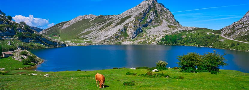 Proyecto de monitorización de la ganadería en los Picos de Europa