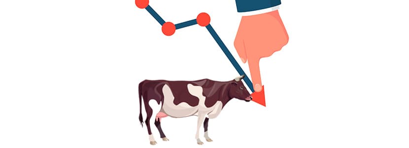 Leche Celta baja el precio de la leche a los ganaderos
