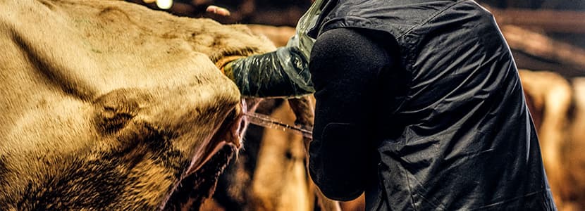 Reclamación del Col. de Veterinarios de Lugo al programa Malicia Noticias
