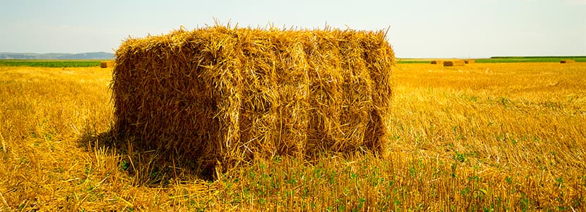 Las Conferencias de Agricultura y de Pesca acuerdan la distribución de 36,6 M€
