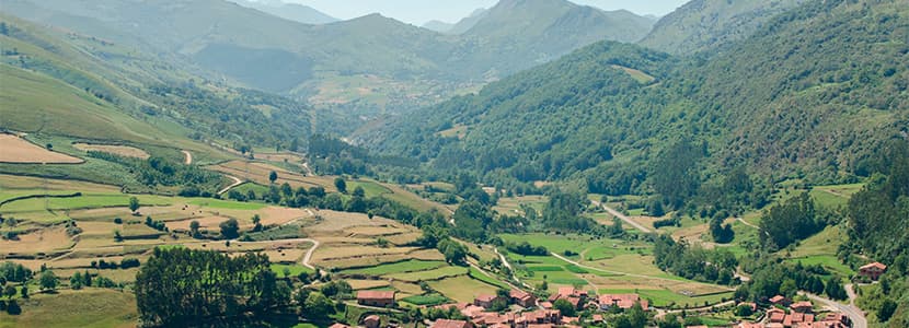 Ayudas para el asesoramiento de explotaciones agrarias en Cantabria