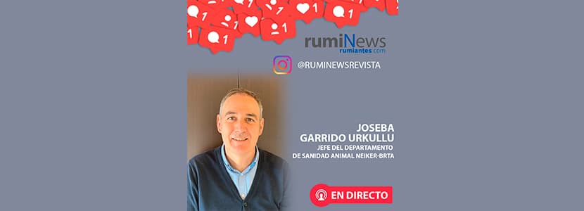 Entrevista a Joseba Garrido, Jefe Dpto. Sanidad Animal Neiker BRTA