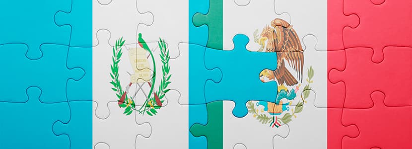 Ganado bovino procedente de Guatemala con destino a México