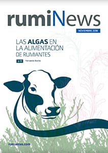 Revista rumiNews Noviembre 2018