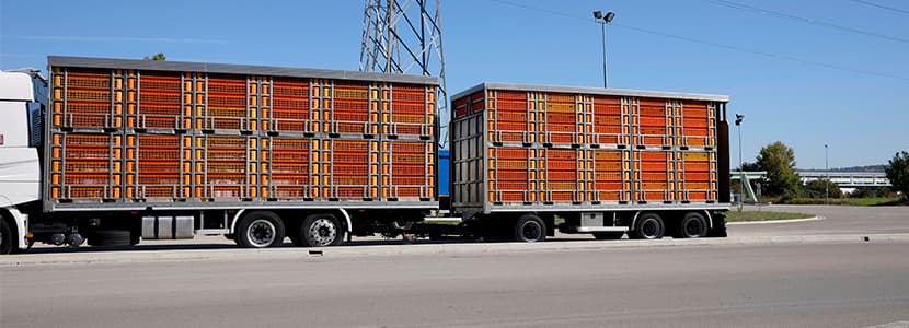 Derogadas parte de las medidas excepcionales durante el transporte
