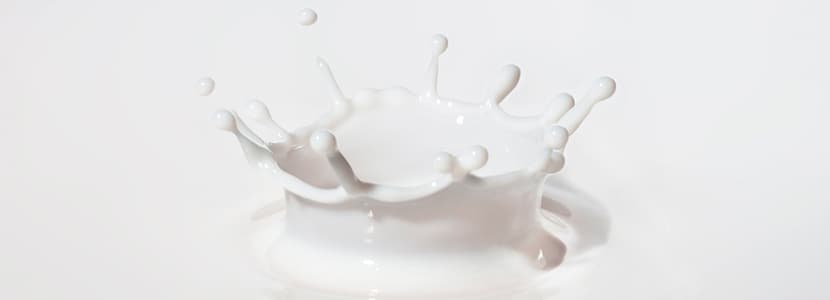 Analizando la leche de la cabra Murciano-Granadina