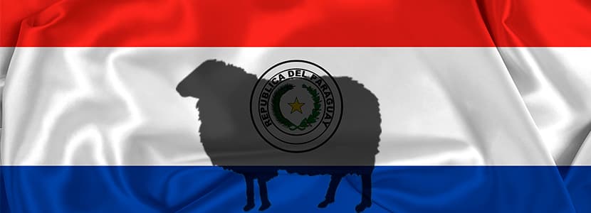 Genética británica para mejorar el ganado ovino de Paraguay