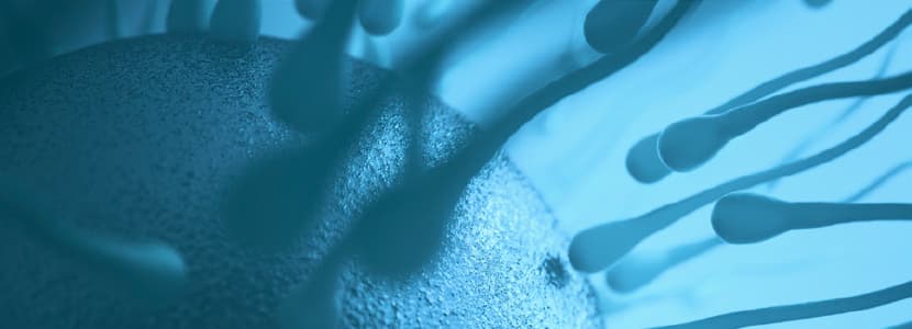 Cambio de paradigma en asesoría reproductiva: perfil de progesterona en leche