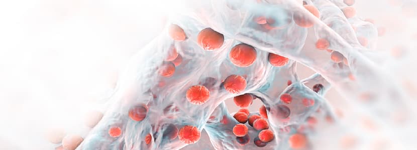 Mastitis por S.Aureus y SCN: formación del biofilm