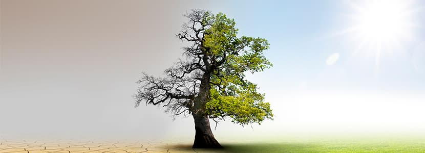 LIFE BEEF CARBON: El proyecto europeo que nos hará aún más sostenibles