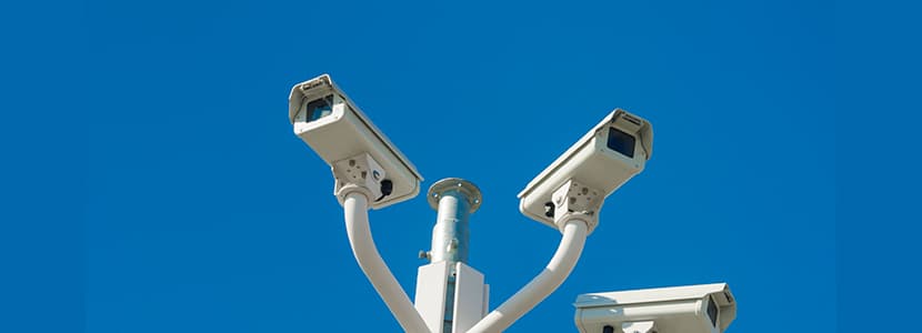 Cámaras de videovigilancia en los mataderos a consulta