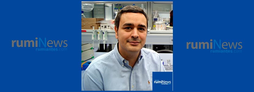 Entrevista a David Rodríguez Lázaro, profesor e investigador de la Universidad de Burgos